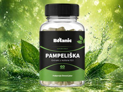 Mustry na barevné podklady (36)