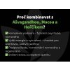 Kotvičník (Tribulus) - Extrakt 40 % protodioscínu v kapsuliach