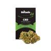 1034 cbd konopi white widow