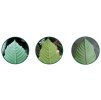 kratom druhy barvy