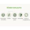 1958 5 infografika ucinky shilajitu