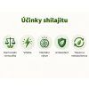 20 Ucinky shilajit kapsle.jpg