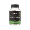 Boswellia serrata - Extrakt z pryskyřice s 65% kyseliny boswelové v kapslích