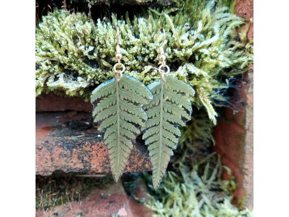 Náušnice s kapradím 3