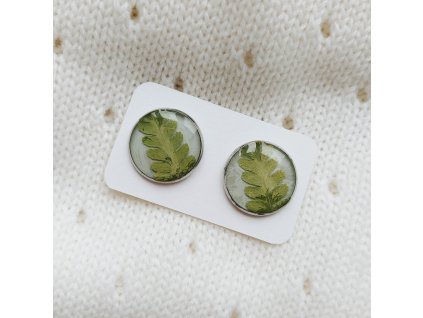 Náušnice s kapradím 1