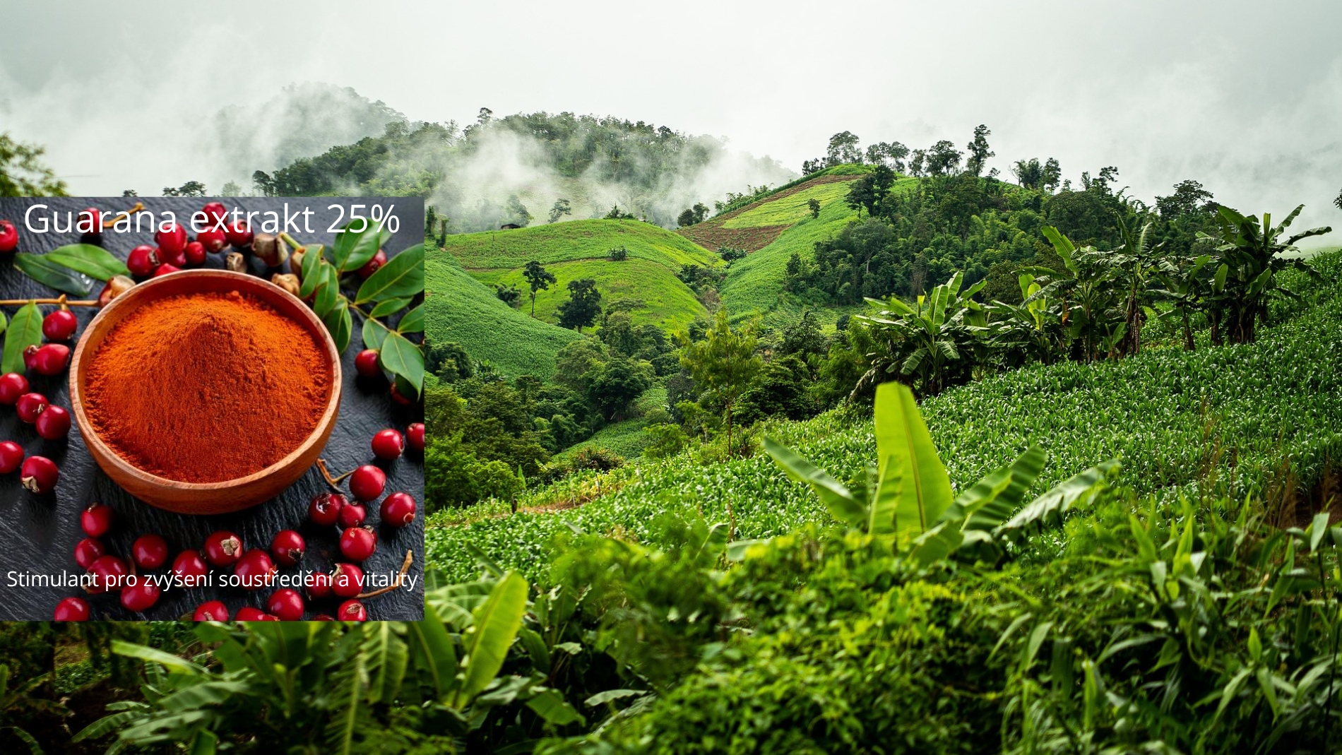 Bylinky a doplňky stravy
