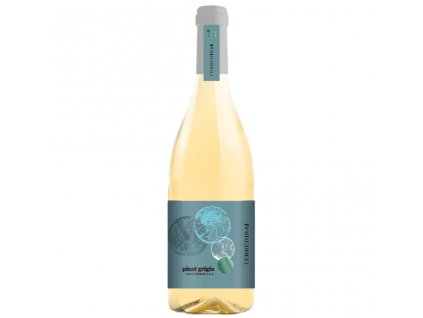 Terre di Rai Pinot Grigio delle Venezie DOC 0,75 l new design min