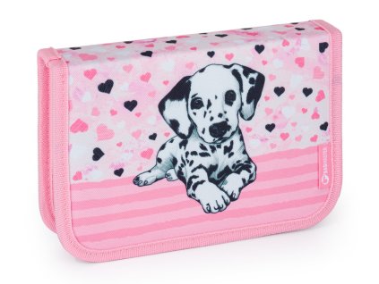 CASE BETA 24 A 01