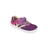 21486 violeta