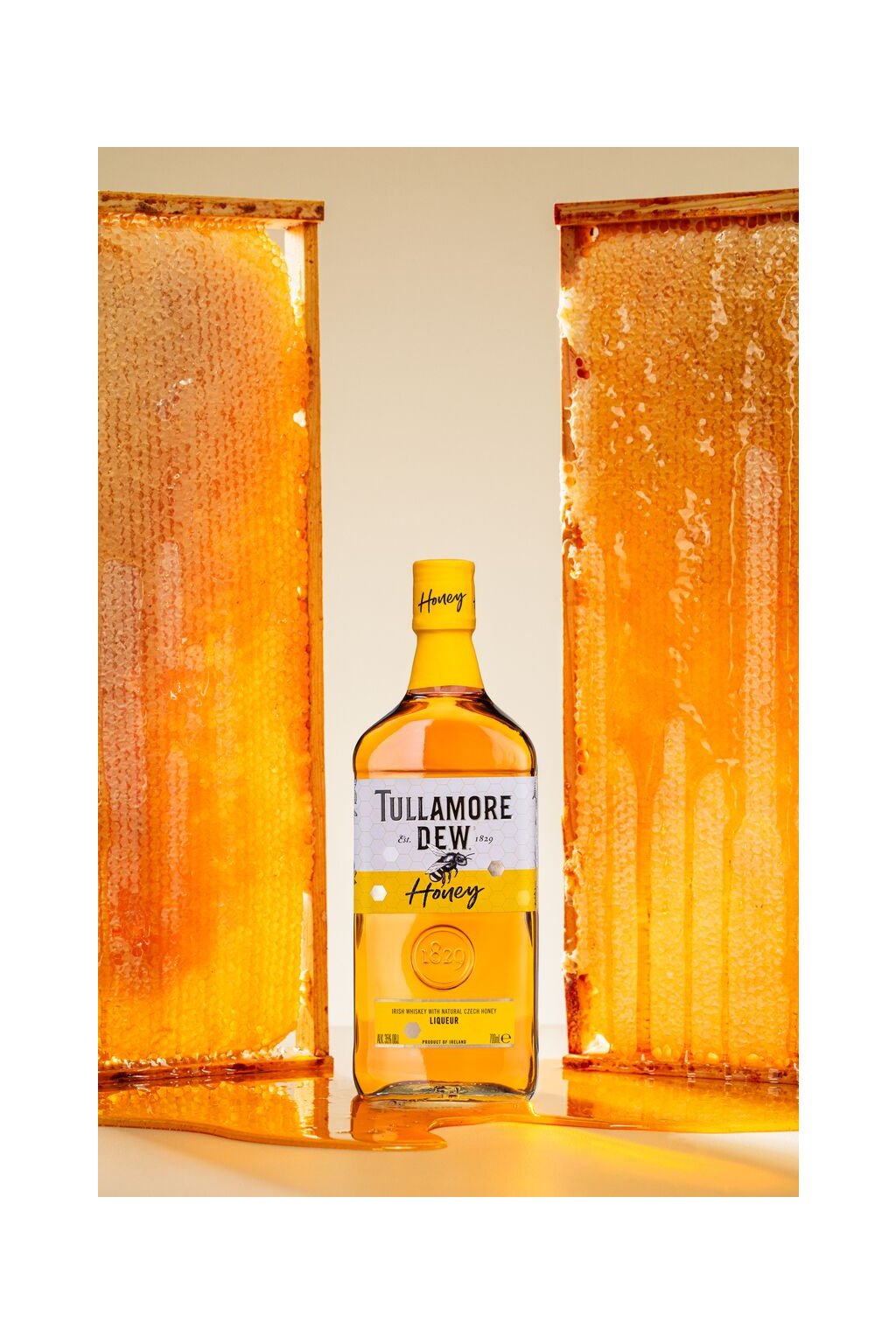 Original Tullamore Dew-Kanister für Whiskey-Liebhaber in Tschechische  Republik