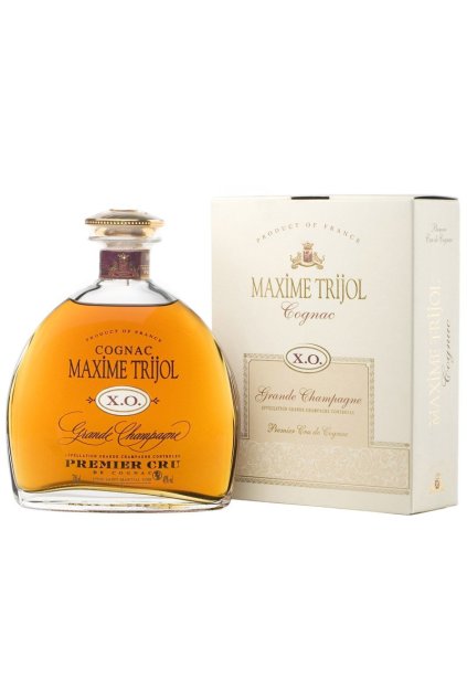 maxime trijol xo