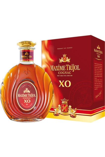 maxime trijol xo