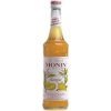 MONIN MANGO