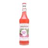 Monin Bubble Gum