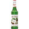 monin kiwi