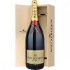 moet 6 lit