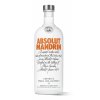 absolut limited 2020