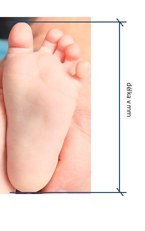 Návod na měření nohy