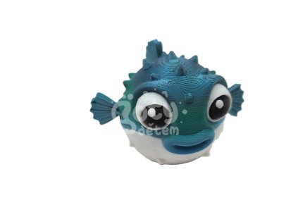 20241014 194147 w1800