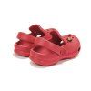 J109 61546 Raspberry 04