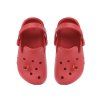 J109 61546 Raspberry 05