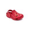 J109 61546 Raspberry 07