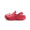 J109 61546 Raspberry 01