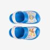 8645 9382 653 4730 maxi sea bluepp chase 004