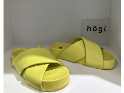 Hoegl 7 10 2910 9500