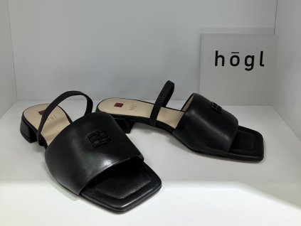 Hoegl 7 10 1530 0100