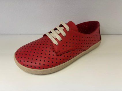 881a2cc4 bea7 48b6 94f2 918f6d3f9c7f