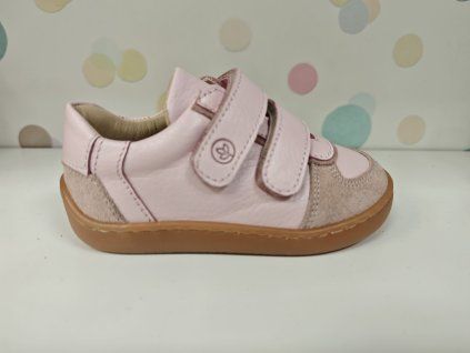 6c2abe59 c280 4fe2 8049 1d731ba0c18c