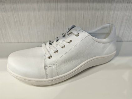 58cde970 b4cf 4d65 9c5b e589df3a8ae1