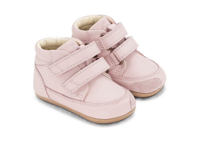 1739351252Prewalker Rose primary
