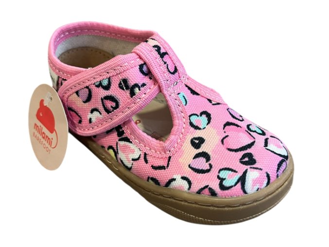 Snímek obrazovky 2026 01 23 110854