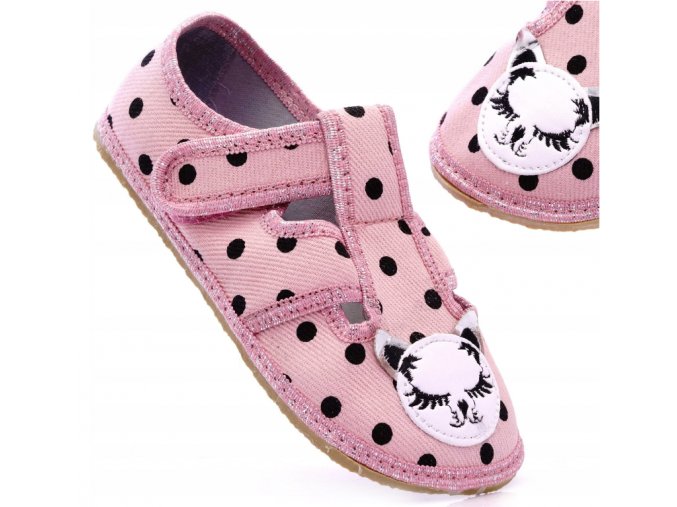 Snímek obrazovky 2024 07 12 141459