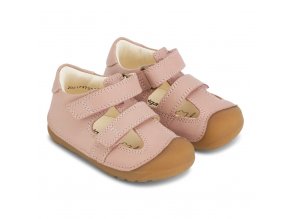 Petit Summer Rose (primary) 2