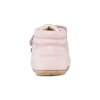1739351252Prewalker Rose 3