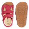 Petit Summer Red 2