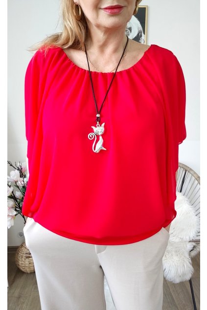 MVIMG 20260212 142334