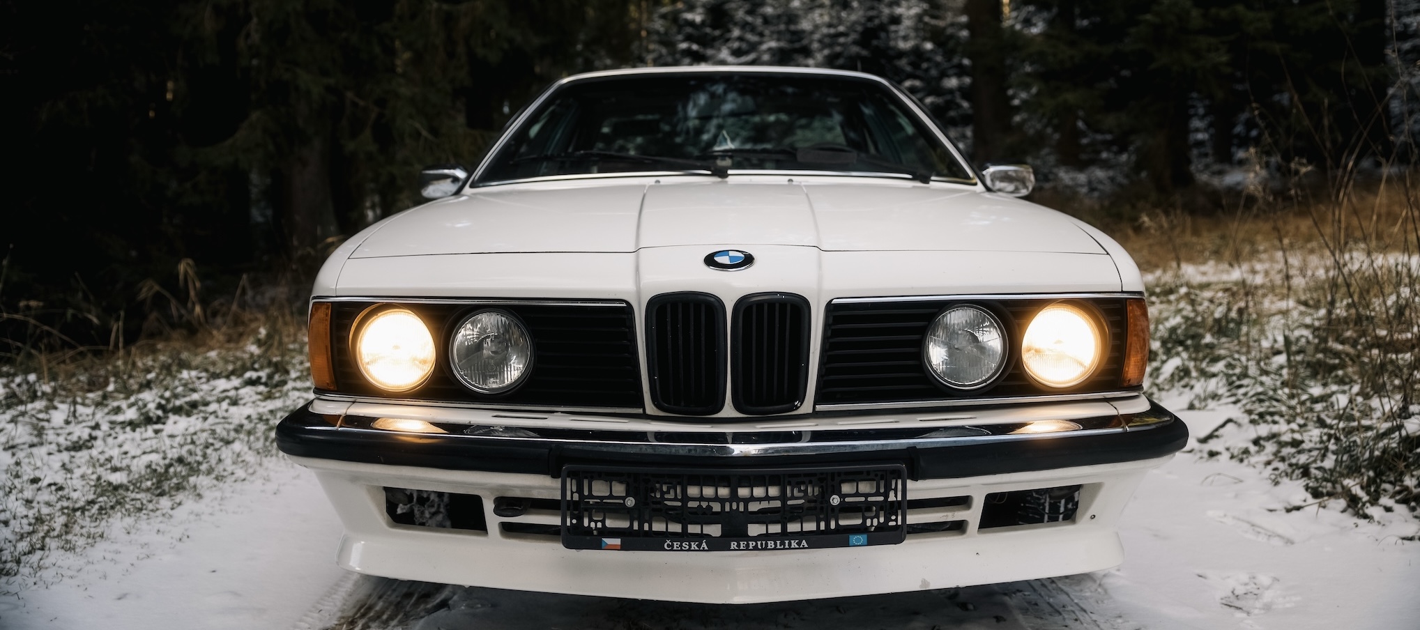 BMW E24