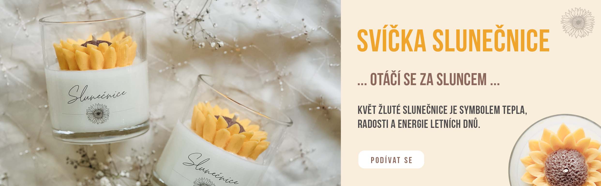 Svíčka slunečnice