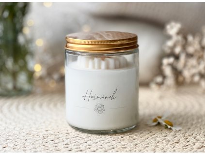 hermanek 08 2025 a