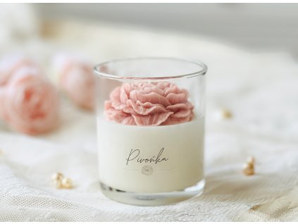 pivonka starozurova 02 2026