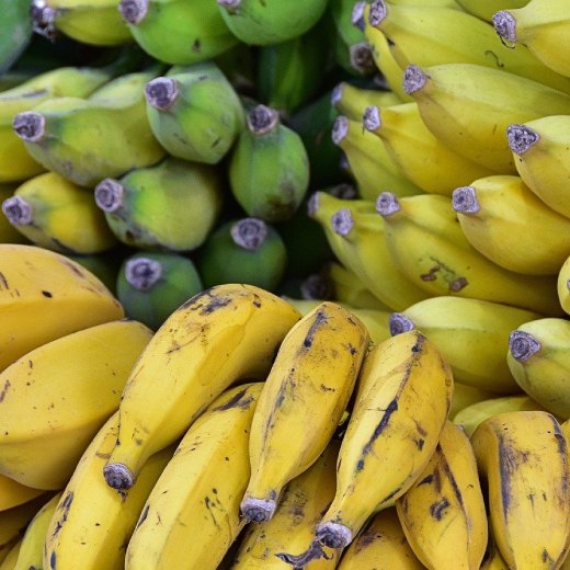 Může králík banán?