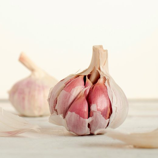 Čím hnojit česnek?