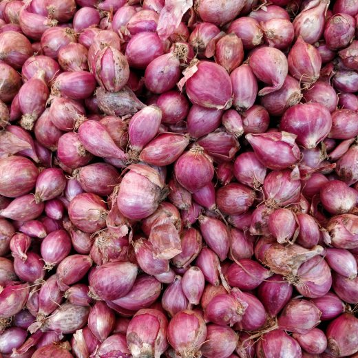 Čím hnojit cibuli?