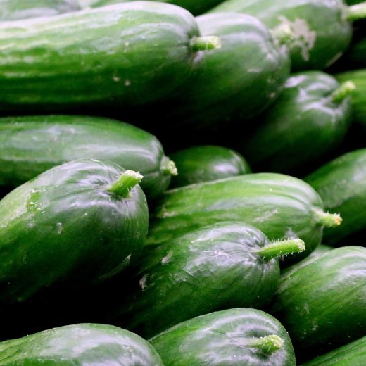 Čím hnojit okurky? Které hnojivo je nejlepší?