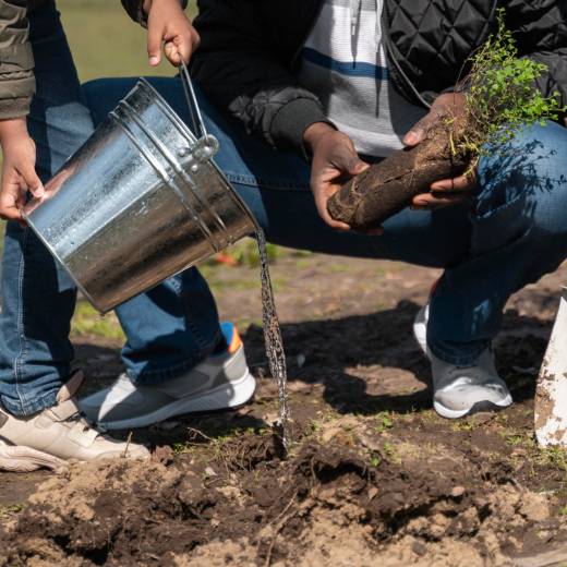 Co pomáhá proti krtkům?