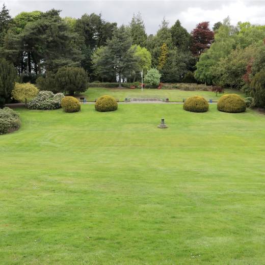 Hnojivo na trávník: jaké je nejlepší?